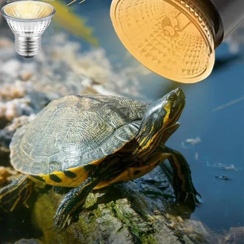 Miniatura 4 de Paquete de 4 bombillas de 50 W UVB UVA para reptiles y anfibios, uso para tortuga, dragón barbudo, jaulas de lagarto, bombilla de repuesto