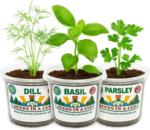 Kit de cultivo de hierbas | Iniciador de jardín de hierbas para interiores | Semillas y tierra de primera calidad | Paquete de 3 hierbas | Múltiples