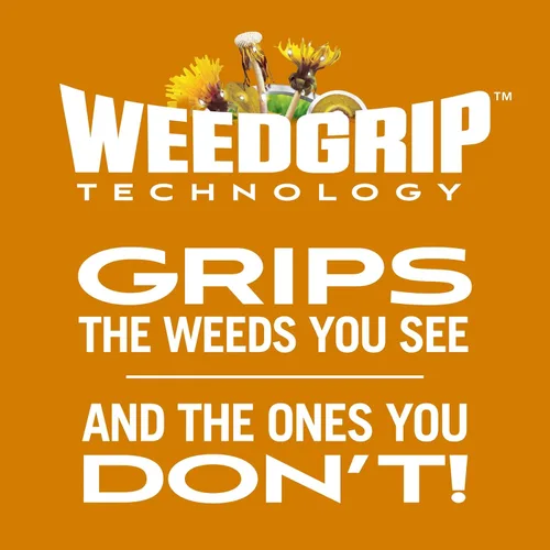 Miniatura 5 de Scotts Turf Builder WinterGuard Fall Weed & Feed3, Herbicida Plus Fertilizante de Otoño, 4,000 pies cuadrados, 11.43 libras. Weed Killer Plus