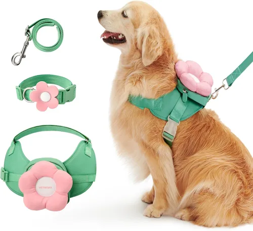 VETRESKA Flora - Juego de arnés para perro, correa y collar, arnés de chaleco para perro sin tirones para caminar y entrenar, ajustable, fácil
