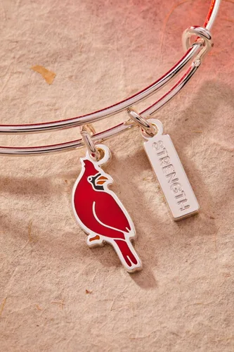 Miniatura 3 de Alex and Ani Pulsera Brazalete con Dije Dúo Cardinal 'Strength