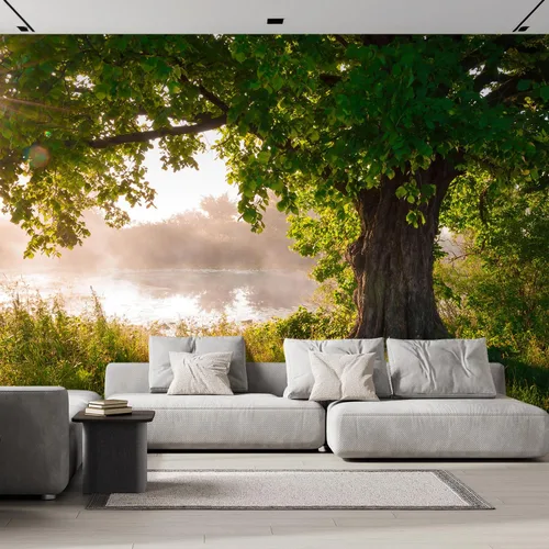 wall26 - Árbol de roble en plena hoja en verano de pie solo - Mural de pared removible | Papel pintado grande autoadhesivo - 66x96 pulgadas Obra de