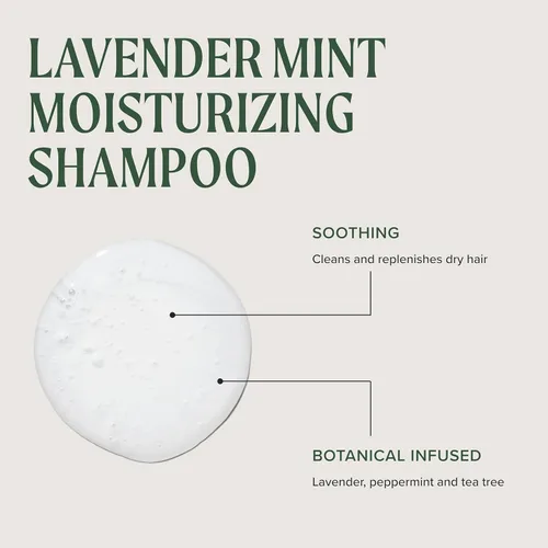 Miniatura 3 de Champú hidratante de lavanda y menta Tea Tree, hidrata + calma, para cabello grueso y seco