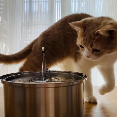 Miniatura 6 de KittySpout Fuente de Agua para Gatos de Acero Inoxidable Fuente de Beber Automática, Cuenco de Agua Circulante Silencioso, Apto para Lavavajillas