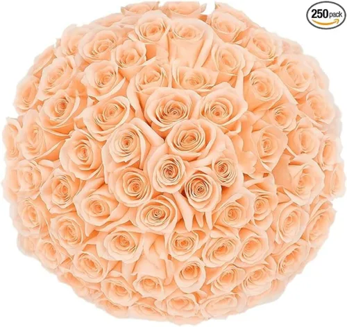 Miniatura 25 de GlobalRose Ramo de 100 Rosas Melocotón - Rosas de Origen Responsable Flores Frescas - Ramo Fresco de Flores Seleccionadas a Mano para Graduación