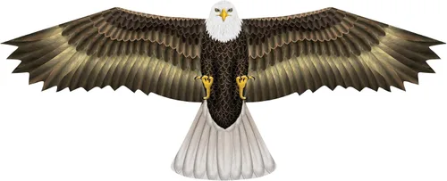 Wind n Sun - Cometa de nailon con forma de águila rapa, 70 pulgadas