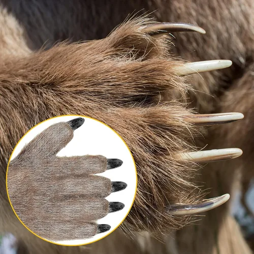 Miniatura 6 de Guantes de Halloween con garras de lobo peludo de animales de la pata de la bestia de las manos de la bestia para los favores de la fiesta