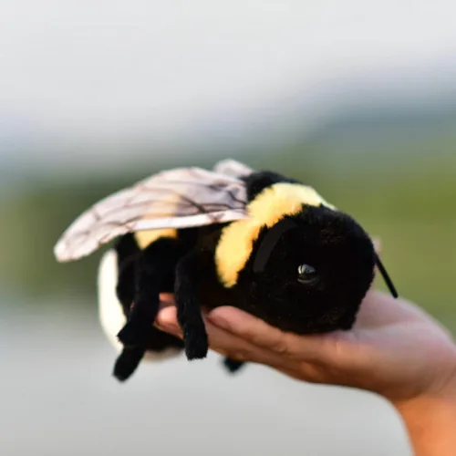 TAMMYFLYFLY Muñeco de peluche de insecto suave, abeja rellena, muñeco de abeja de peluche lindo, 17cm (abeja)