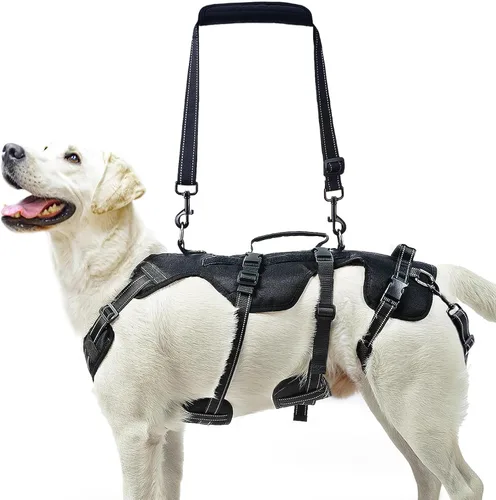 PUPTECK Arnés de elevación para perros para perros de tamaño mediano y grande, cabestrillo de rehabilitación para soporte de pata trasera, arnés de