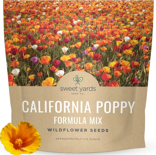 California Poppy - Mezcla de fórmula - Paquete grande de semillas de 1/2 onza - 10,000 semillas de flores para plantar - Eschscholzia californica