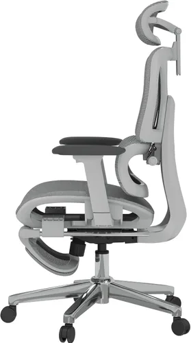 Miniatura 12 de FLEXISPOT ErgoX Premium - Silla de oficina ergonómica premium con reposapiés - Reposabrazos 3D ajustables, soporte lumbar dinámico, función de Gris
