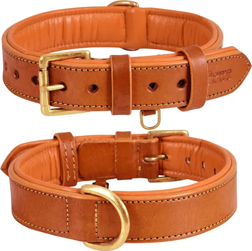 Miniatura 15 de Collar de perro de cuero para perros medianos, marrón, 1 pulgada de ancho, cuero genuino de grano completo, resistente con acolchado interior suave