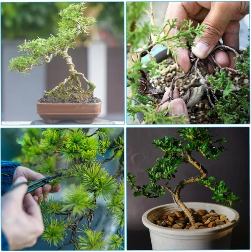 Miniatura 6 de PATIKIL Alambre de entrenamiento para bonsái de 1mm x 374 pies, tallos de alambre floral alambre para árbol de aluminio anodizado para fijación