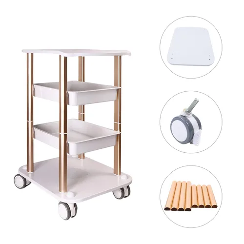 Miniatura 4 de Carrito de salón facial con ruedas, carrito de 4 capas - Carrito rodante, bandeja de carrito de salón de belleza con ruedas plateadas Capacidad
