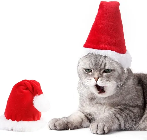 Miniatura 13 de Sombrero de Papá Noel de conejillo de indias, gatito, conejo, hámster, chinchilla, erizo, hurones, ardilla, sombrero de Navidad, gorra de Papá Noel