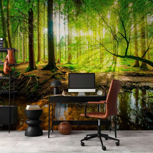 Miniatura 6 de artgeist Mural de pared premium Bosque 138 x 101 pulgadas, papel tapiz fotográfico no tejido, impresión artística, mural de pared de forro polar, #12