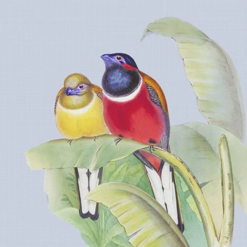 Miniatura 10 de Canguros australianos John Gould Counted Patrón de punto de cruz