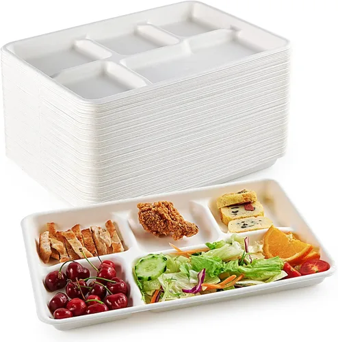 ECOLipak Platos de 5 compartimentos 100% compostables, paquete de 100 platos de papel desechables con compartimentos, platos biodegradables de caña