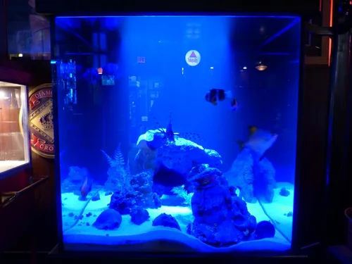 Miniatura 5 de Módulo gran angular LED azul POD SMD impermeable 12V borde gabinete tira marina automotriz iluminación 4