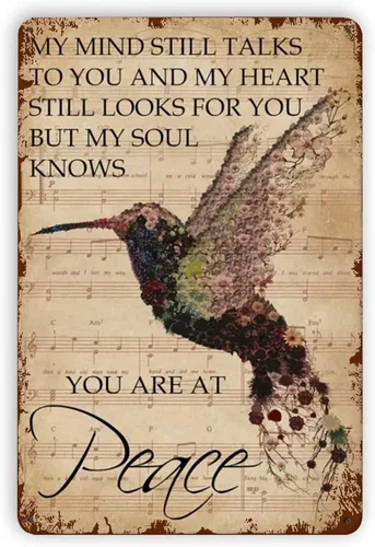Letrero de metal con diseño de colibrí, con texto en inglés "You are at Peace", decoración de pared de pájaros, estilo retro, vintage, para el