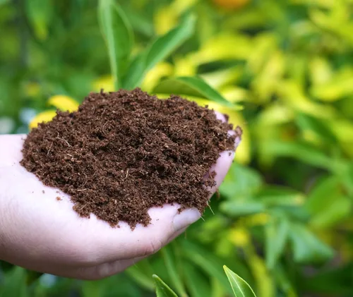 Miniatura 3 de Happy Trees Coco Coir Fibra de Coco Suelta Medio de Cultivo, Mezcla para Macetas, Inicio de Semillas, Calidad Premium, Triple Lavado para Baja