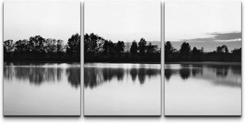Miniatura 30 de NWT Juego de Arte de Pared de Lienzo Enmarcado Bosque Blanco y Negro Reflejo de Lago Paisaje Naturaleza Vida Silvestre Arte de Fotografía Rústico