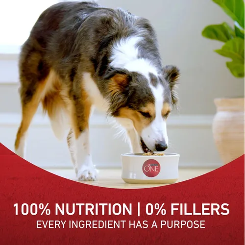 Miniatura 18 de Purina ONE SmartBlend - Alimento seco natural para perros adultos