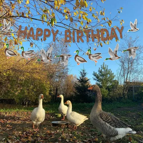 Miniatura 4 de Decoraciones de cumpleaños de caza de patos, guirnalda de pancarta de feliz cumpleaños de pato mallard para cumpleaños, suministros de baby shower