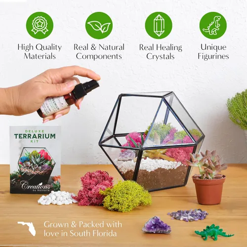 Miniatura 5 de Creations by Nathalie – Kit de bricolaje grande para terrario de inicio con tierra, musgo, piedras, cristal de curación, herramientas y suministros