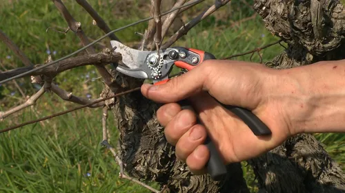 Miniatura 6 de ERGO? Tijeras de podar de derivación media de 1.181 in con mango giratorio recubierto de elastómero