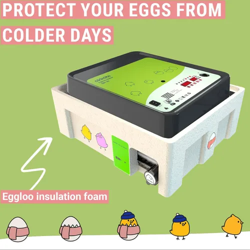 Miniatura 6 de Incubadora OBI-36 para incubar huevos, 36 huevos, fácil de usar, control estable de temperatura y humedad con aislamiento Eggloo, color verde