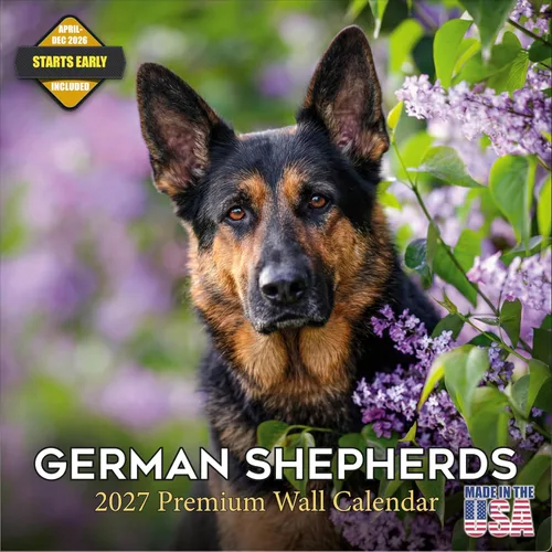Miniatura 172 de Calendario 2025 2026 de cachorros Cocker Spaniel - Calendario mensual de pared de raza de perro - 12" x 24" abierto - Papel grueso sin sangrado