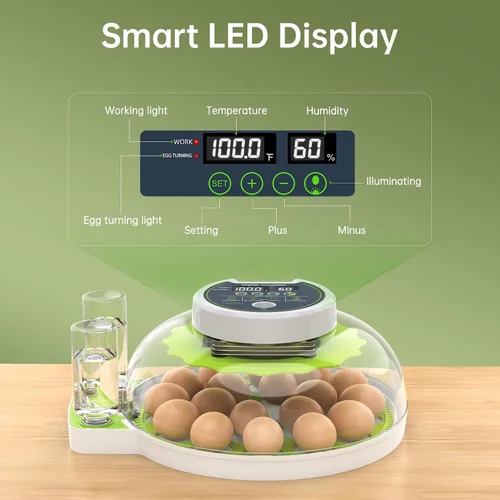 Miniatura 3 de Incubadora de 8 huevos con giro automático de huevos, control de temperatura y humedad, vela de huevos, mini incubadora digital para incubar pollo