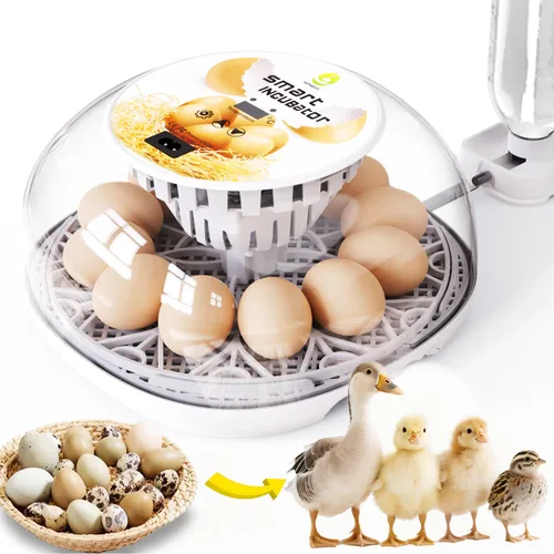 Incubadoras de huevos para incubar huevos de gallina, incubadora para incubar huevos incubadora con girador automático de huevos y control de