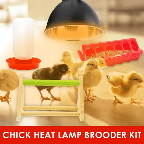 Miniatura 2 de Kit de comedero y bebedero para pollitos GIFANK con lámpara de calor de 75W, percha para pollitos, comedero para aves de corral con tapa abatible
