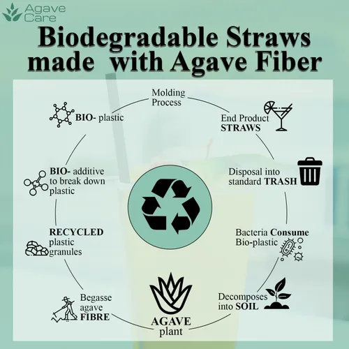 Miniatura 8 de Paquete de 2000 pajitas envueltas biodegradables de 9.85 pulgadas fabricadas con fibras de agave, una opción natural respetuosa con el medio