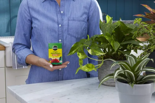 Miniatura 4 de Miracle-Gro Alimento vegetal soluble en agua multiusos de 8 onzas, paquete de 2