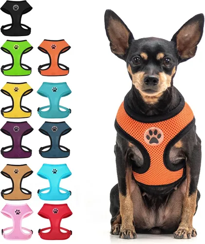 Miniatura 23 de BINGPET Arnés para perro sin tirones, arnés de chaleco tipo step-in de malla para todo clima para perros pequeños, arnés de malla transpirable