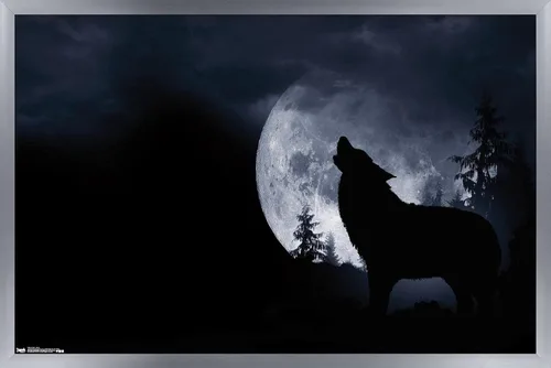 Miniatura 11 de Trends International Póster de pared de lobo - aullido, 14.725 x 22.375 pulgadas, versión enmarcada de madera de granero