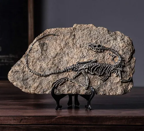 Miniatura 3 de XINDAM Modelo de estatua de fósil de dinosaurio de resina, esqueleto simulado para exhibición en hogar y oficina, caja decorativa de manualidades