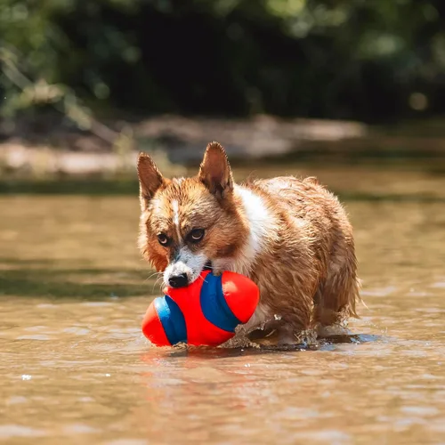 Miniatura 5 de Chuckit! Fumble Fetch Fútbol para Perros - Juguete Interactivo para Perros para Interiores y Exteriores con Diseño Ranurado para Fácil Recogida