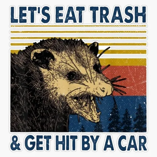 Pegatina de vinilo con texto en inglés "Let's Eat Trash And Get Hit By Car, Retro Vintage Street Raccoon", tamaño 5 pulgadas