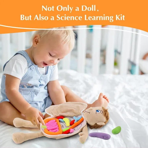 Miniatura 2 de vocheer Juguete de anatomía del cuerpo humano, juguetes de peluche de órgano educativo Montessori preescolar para niños, kits de aprendizaje