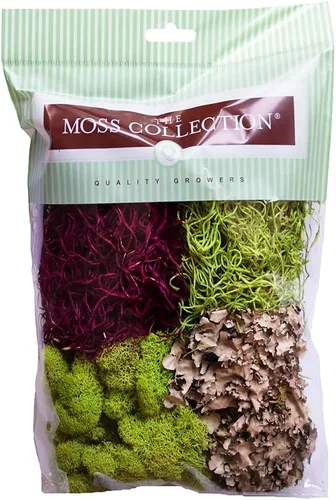 Quality Growers - Paquete variado de la colección Moss - Musgo decorativo natural - Manualidades, decoración del hogar, proyectos de arte, diseño y