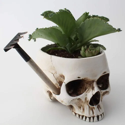 Miniatura 2 de Mikayoo Soporte para bolígrafo de calavera, soporte para brochas de maquillaje, soporte para bolígrafos, tocador, escritorio de oficina, caja