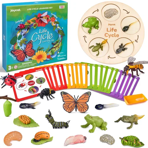JoyCat Juguetes Educativos de Aprendizaje del Ciclo de Vida, Kit de Oruga de Insecto a Mariposa, Mariquita, Abeja, Kit de Renacuajo a Rana, Juguetes