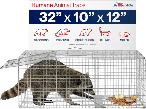 Miniatura 13 de Trampa humana para gatos callejeros de 24 pulgadas, jaula de animales vivos para gatitos salvajes, zarigüeya, mapache, conejo, armadillo, trampa