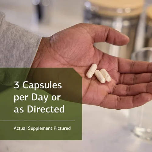 Miniatura 3 de Standard Process ProSynbiotic - Suplemento de alimentos integrales para los intestinos, apoyo inmunológico, digestión y salud digestiva