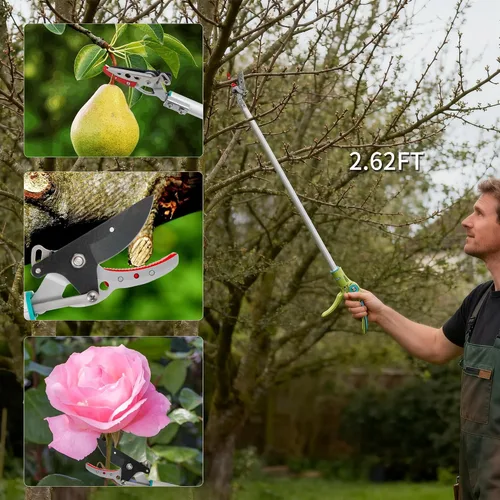 Miniatura 2 de GARTOL - Podadora de largo alcance con corte y retención, podadora de poste de 32 pulgadas ligera, mango largo, corta hasta 1/2 pulgada, uso con una