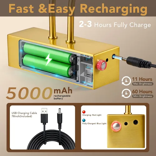 Miniatura 2 de RAIFOOLLY Luz de imagen, luces de imagen para pared inalámbricas, luces de imagen de 16 pulgadas con temporizador y regulable, luces de pared a